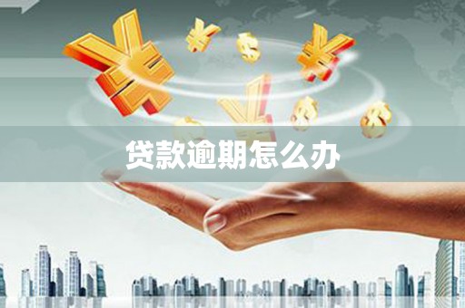 靖宇贷款逾期怎么办
