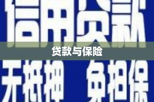 靖宇贷款与保险