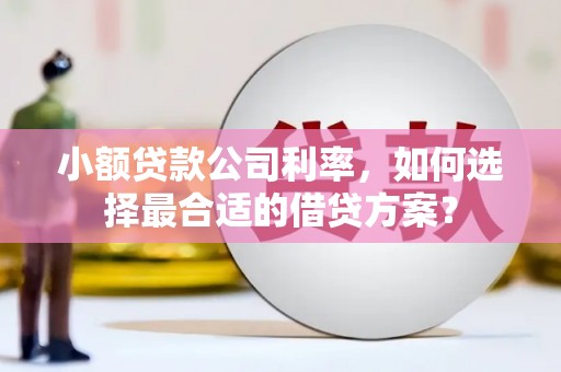 靖宇小额贷款公司利率，如何选择最合适的借贷方案？