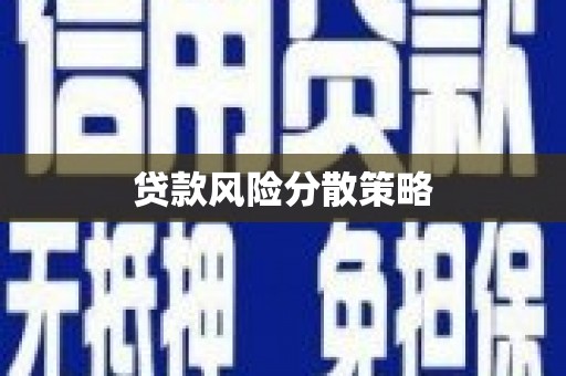 靖宇贷款风险分散策略