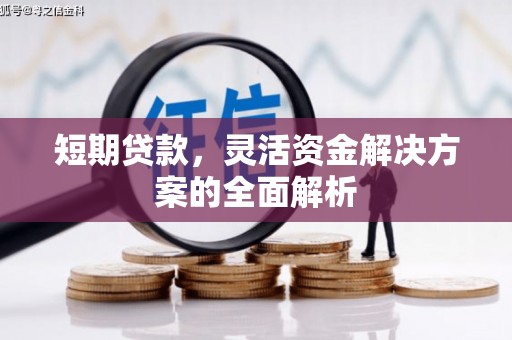 靖宇短期贷款，灵活资金解决方案的全面解析