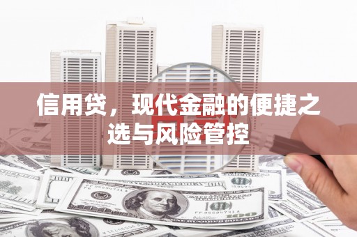 靖宇信用贷，现代金融的便捷之选与风险管控