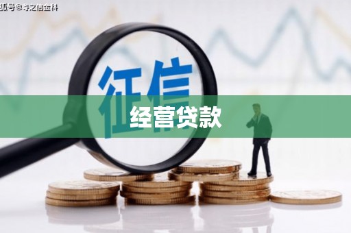 靖宇经营贷款