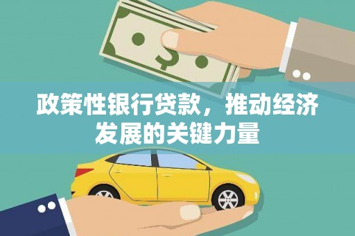 靖宇政策性银行贷款，推动经济发展的关键力量
