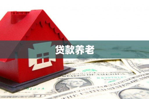 靖宇贷款养老