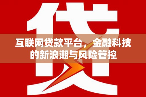 靖宇互联网贷款平台，金融科技的新浪潮与风险管控