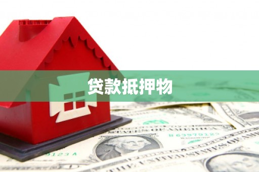 靖宇贷款抵押物
