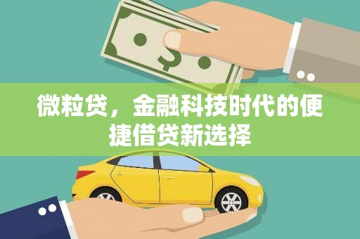 靖宇微粒贷，金融科技时代的便捷借贷新选择