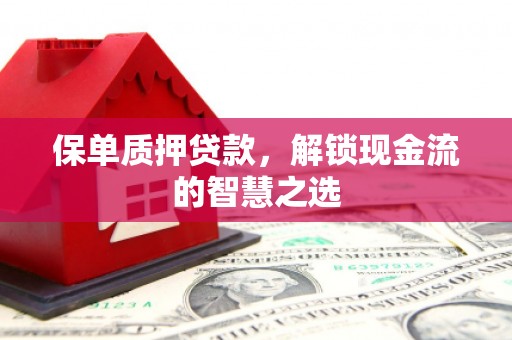 靖宇保单质押贷款，解锁现金流的智慧之选