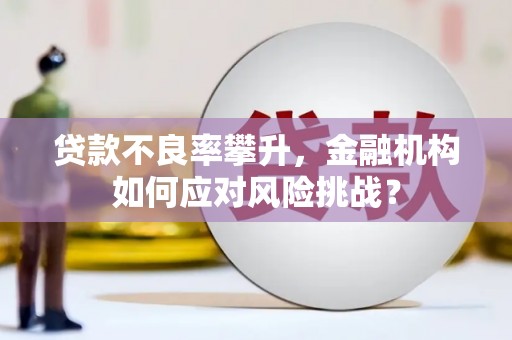 靖宇贷款不良率攀升，金融机构如何应对风险挑战？