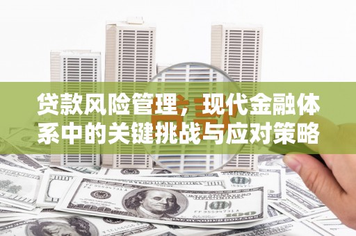 靖宇贷款风险管理，现代金融体系中的关键挑战与应对策略