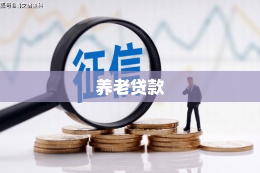 靖宇养老贷款