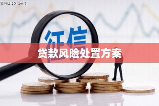 靖宇贷款风险处置方案