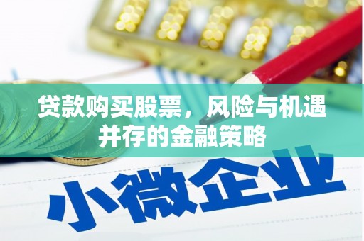 靖宇贷款购买股票，风险与机遇并存的金融策略