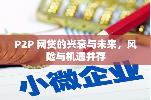 靖宇P2P 网贷的兴衰与未来，风险与机遇并存