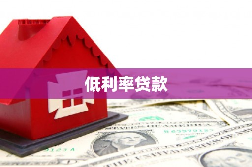 靖宇低利率贷款