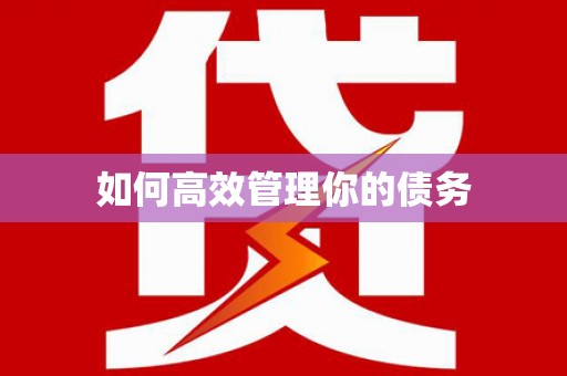 靖宇如何高效管理你的债务