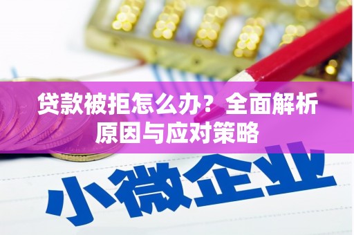 靖宇贷款被拒怎么办？全面解析原因与应对策略