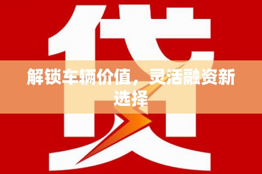 靖宇解锁车辆价值，灵活融资新选择