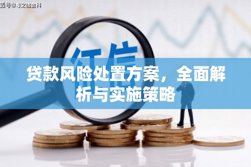 靖宇贷款风险处置方案，全面解析与实施策略